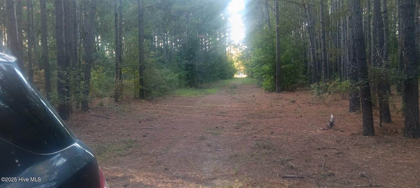 0 6 Hwy 53, Burgaw, NC 28425