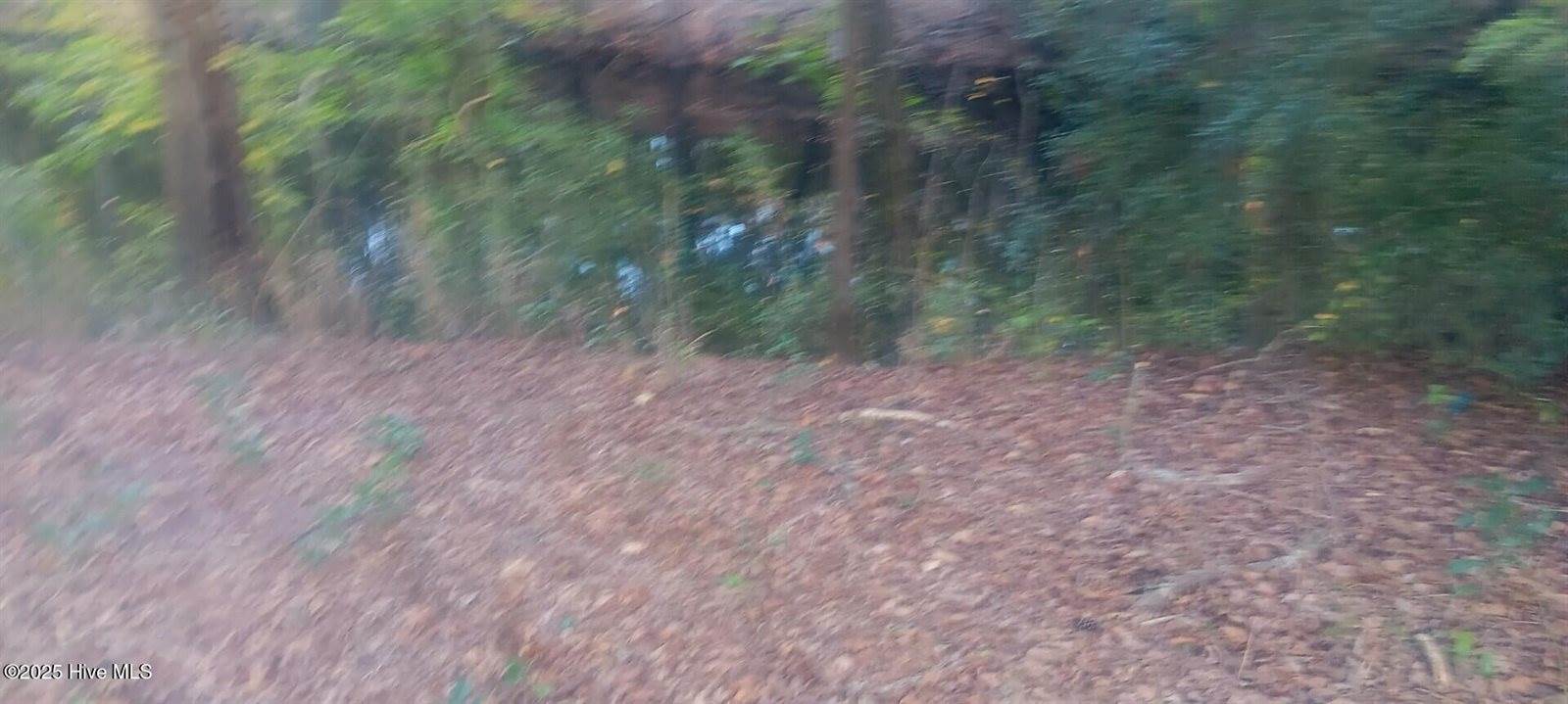 0 6 Hwy 53, Burgaw, NC 28425