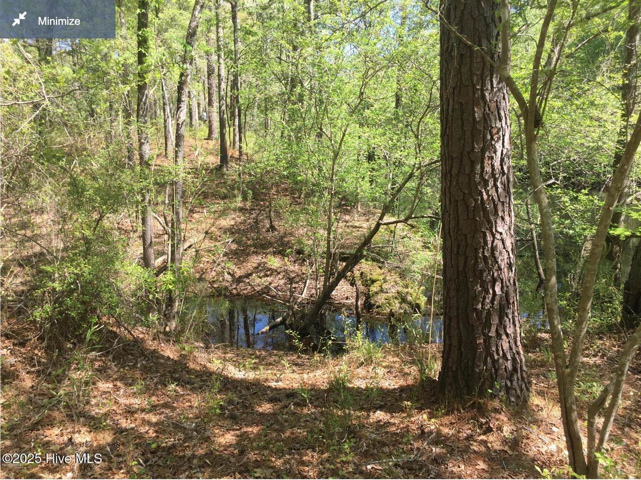 0 6 Hwy 53, Burgaw, NC 28425