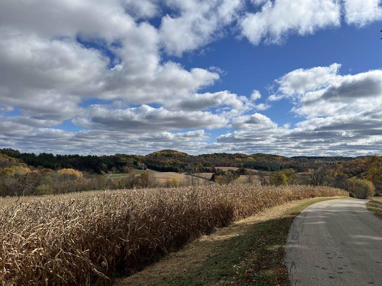 40.90+/- Kinnamon Road, Reedsburg, WI 53959