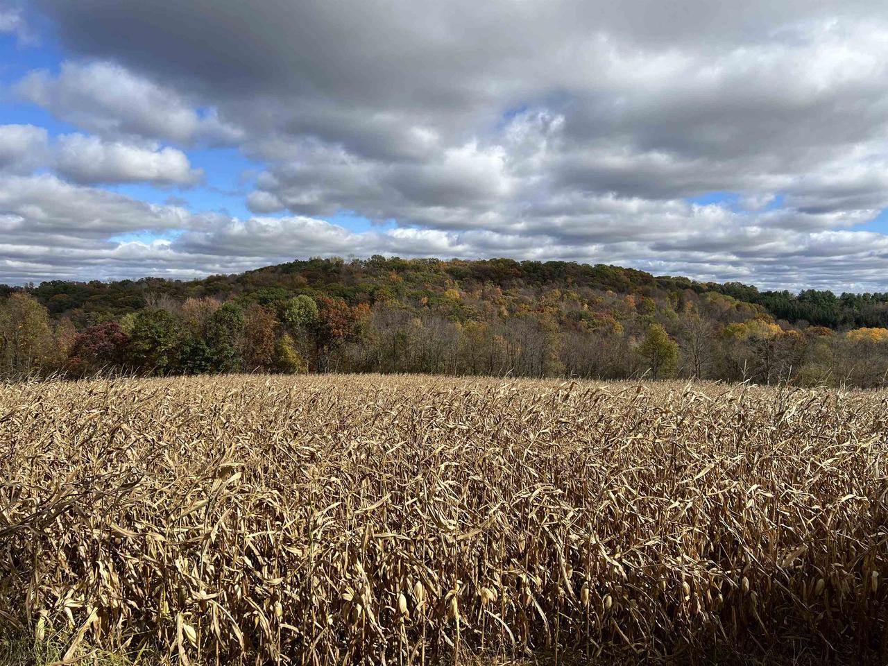 40.90+/- Kinnamon Road, Reedsburg, WI 53959