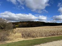 40.90+/- Kinnamon Road, Reedsburg, WI 53959