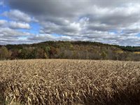 40.90+/- Kinnamon Road, Reedsburg, WI 53959