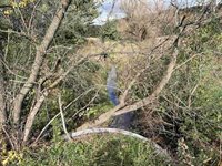 40.90+/- Kinnamon Road, Reedsburg, WI 53959