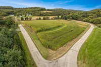 40.90+/- Kinnamon Road, Reedsburg, WI 53959