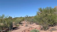622 South Camino Saguaro --, Apache Junction, AZ 85119
