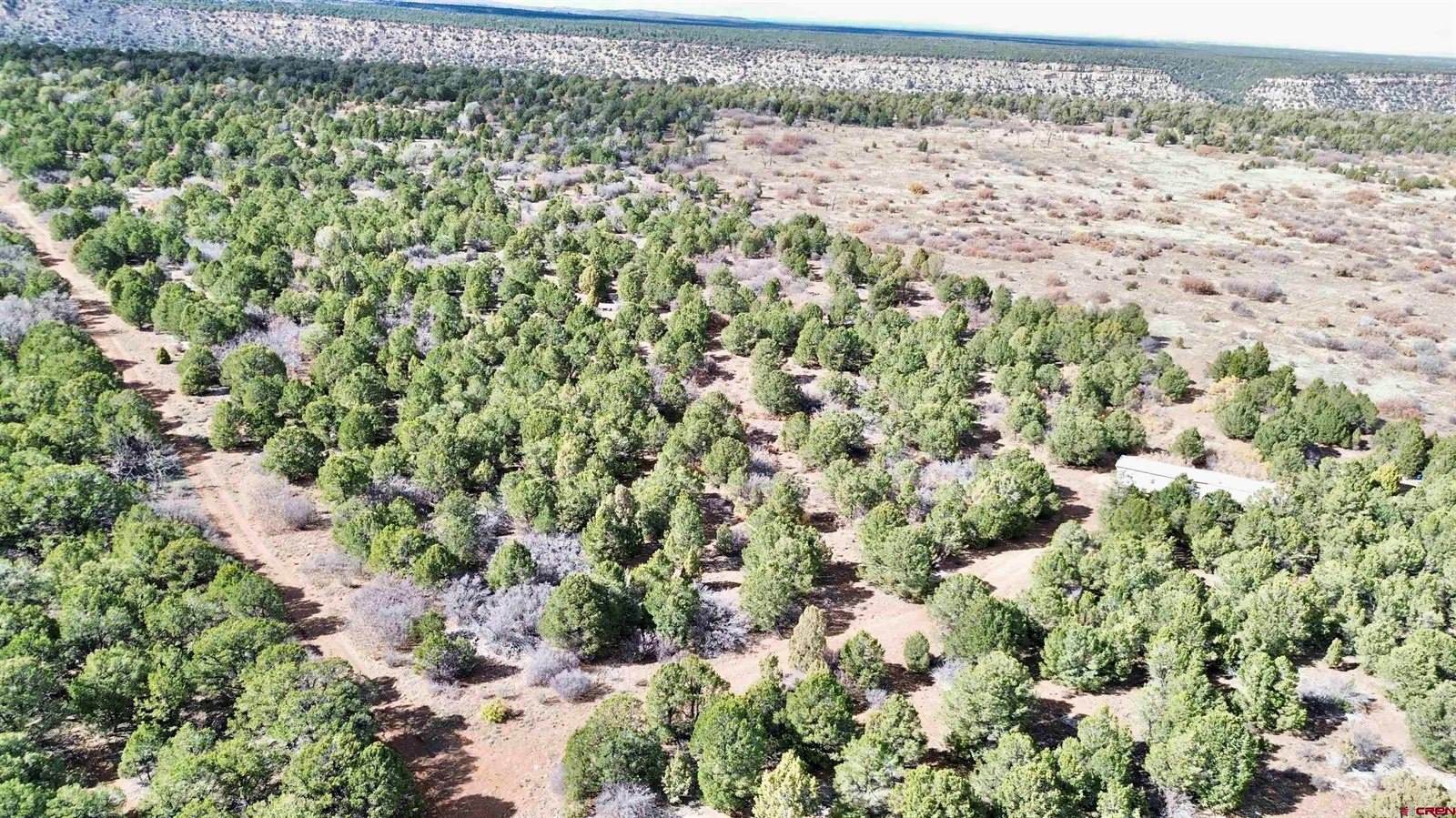 TBD Dave Wood Road, Montrose, CO 81403