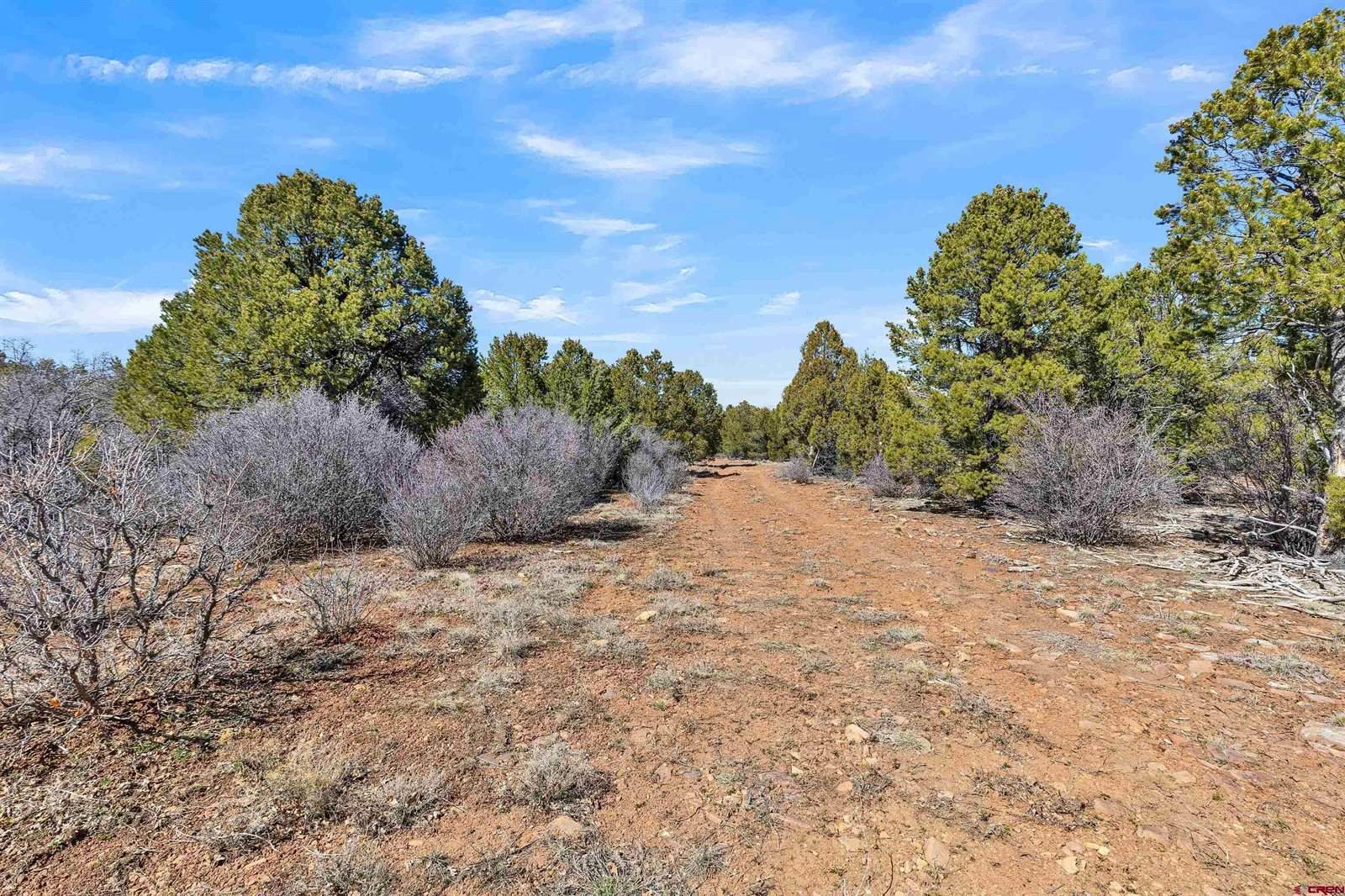 TBD Dave Wood Road, Montrose, CO 81403