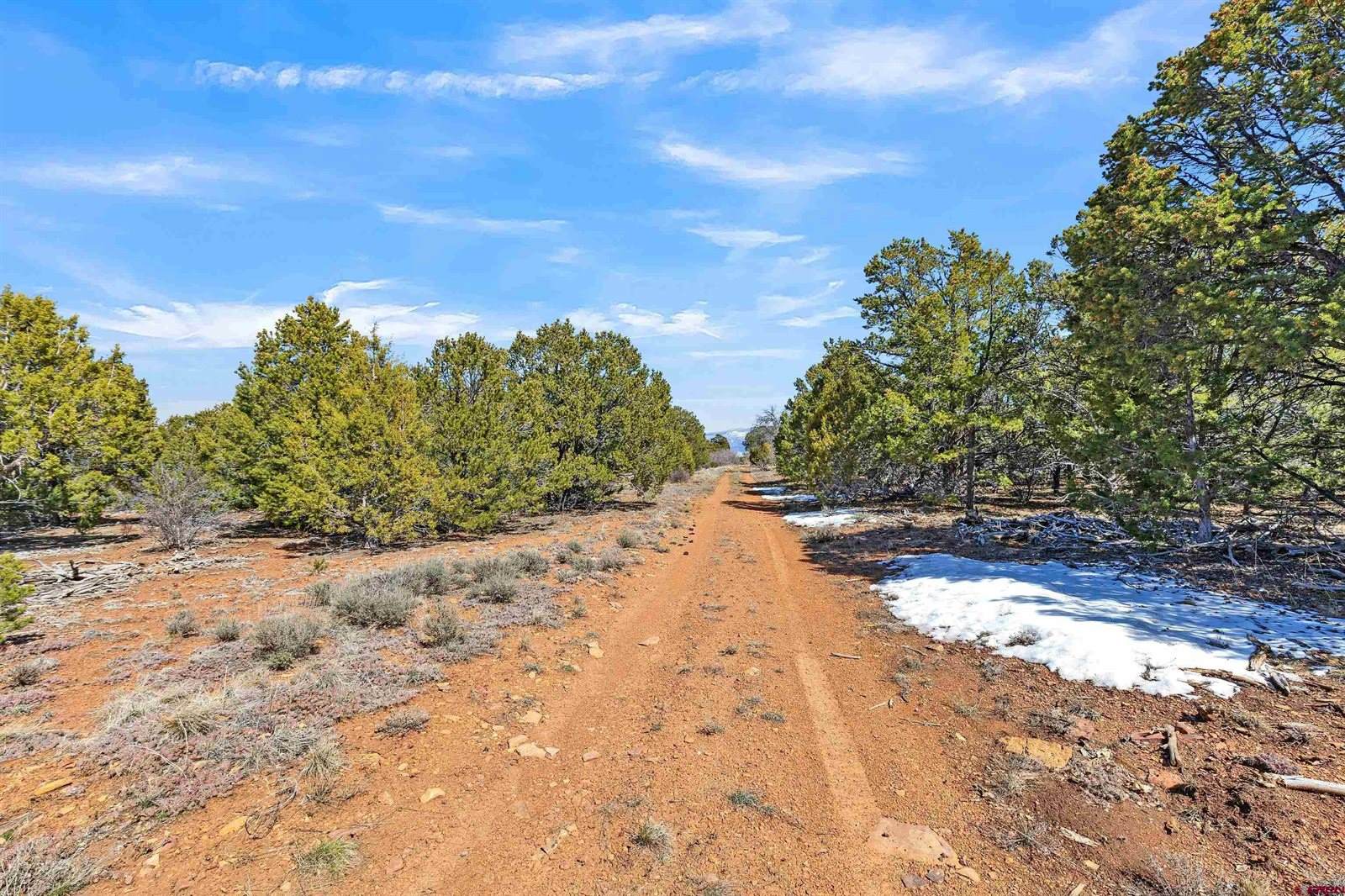 TBD Dave Wood Road, Montrose, CO 81403