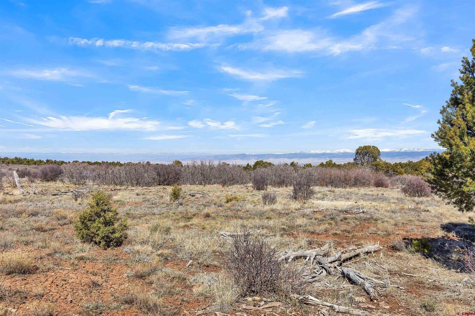 TBD Dave Wood Road, Montrose, CO 81403