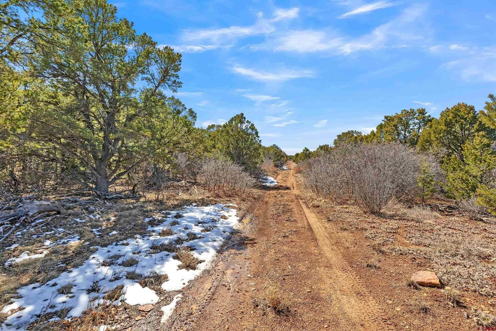 TBD Dave Wood Road, Montrose, CO 81403