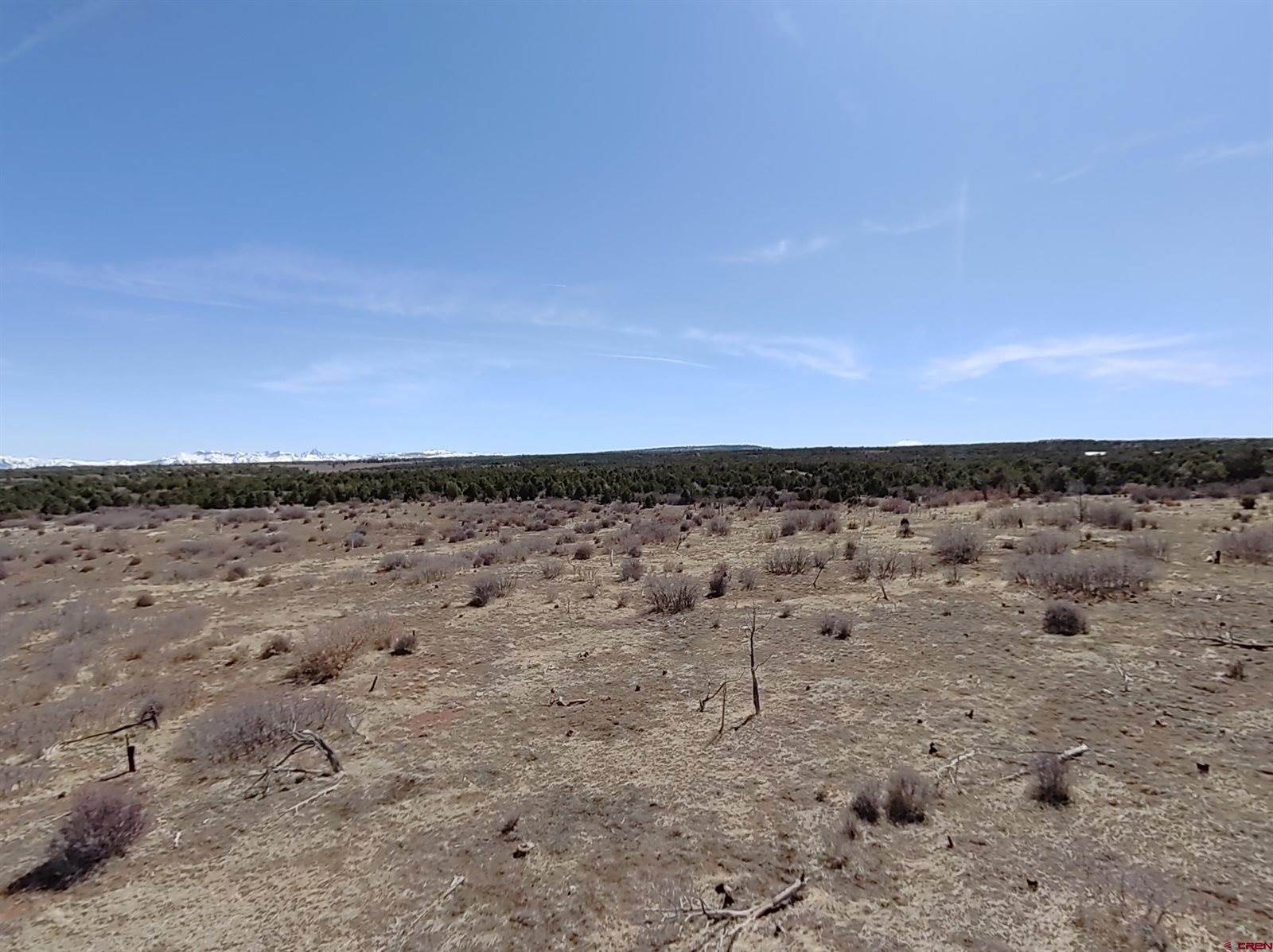 TBD Dave Wood Road, Montrose, CO 81403