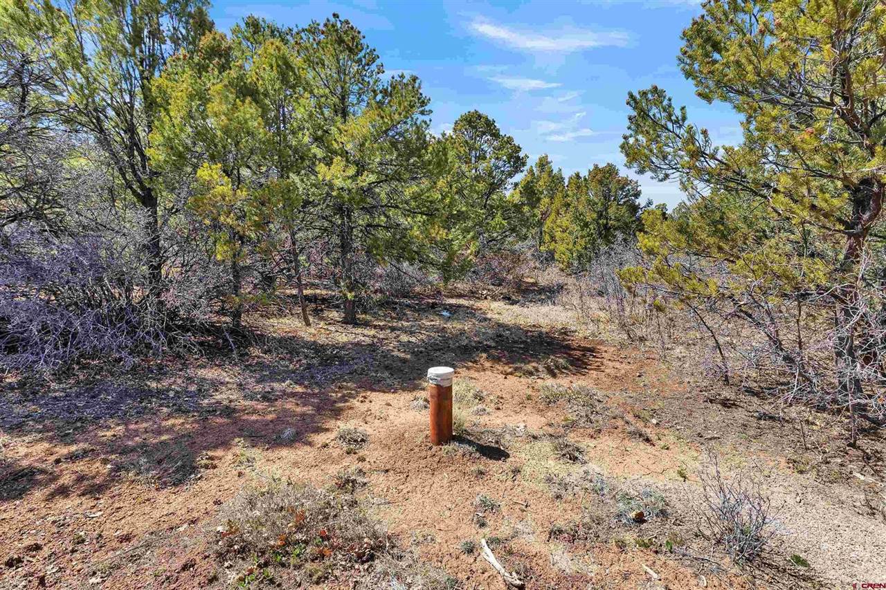 TBD Dave Wood Road, Montrose, CO 81403
