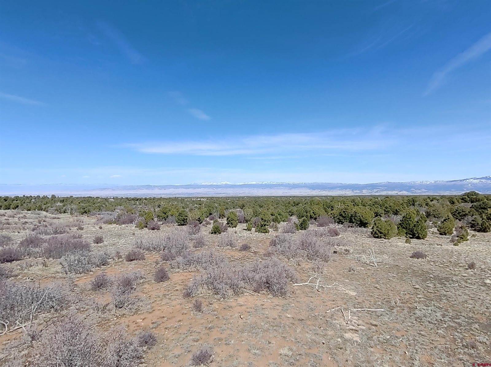 TBD Dave Wood Road, Montrose, CO 81403