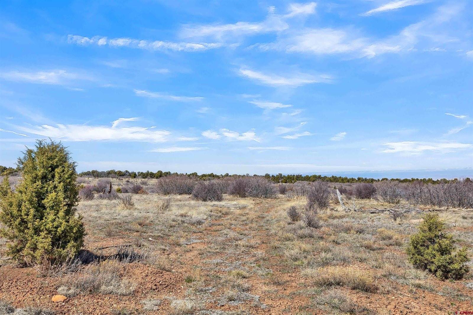 TBD Dave Wood Road, Montrose, CO 81403