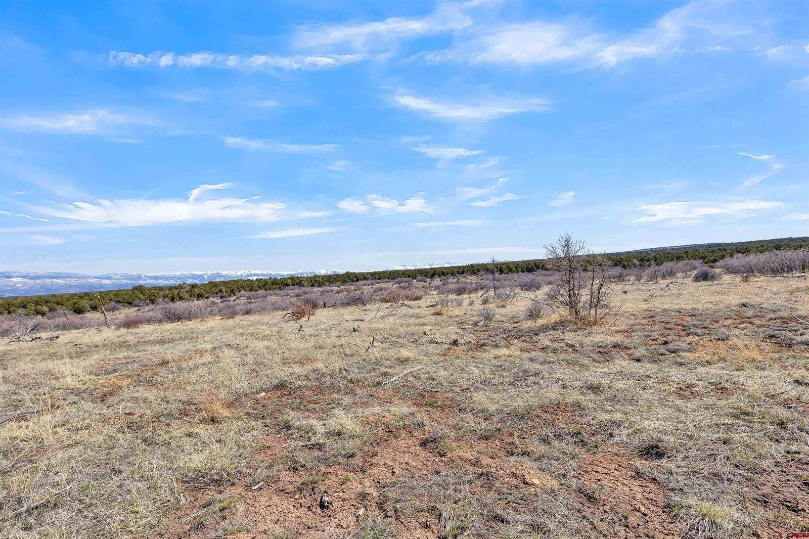 TBD Dave Wood Road, Montrose, CO 81403