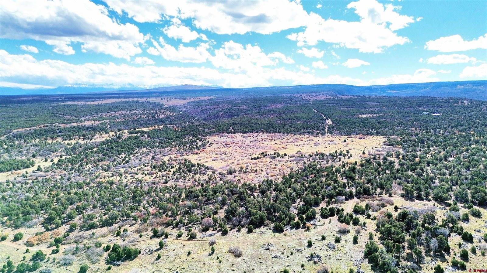 TBD Dave Wood Road, Montrose, CO 81403