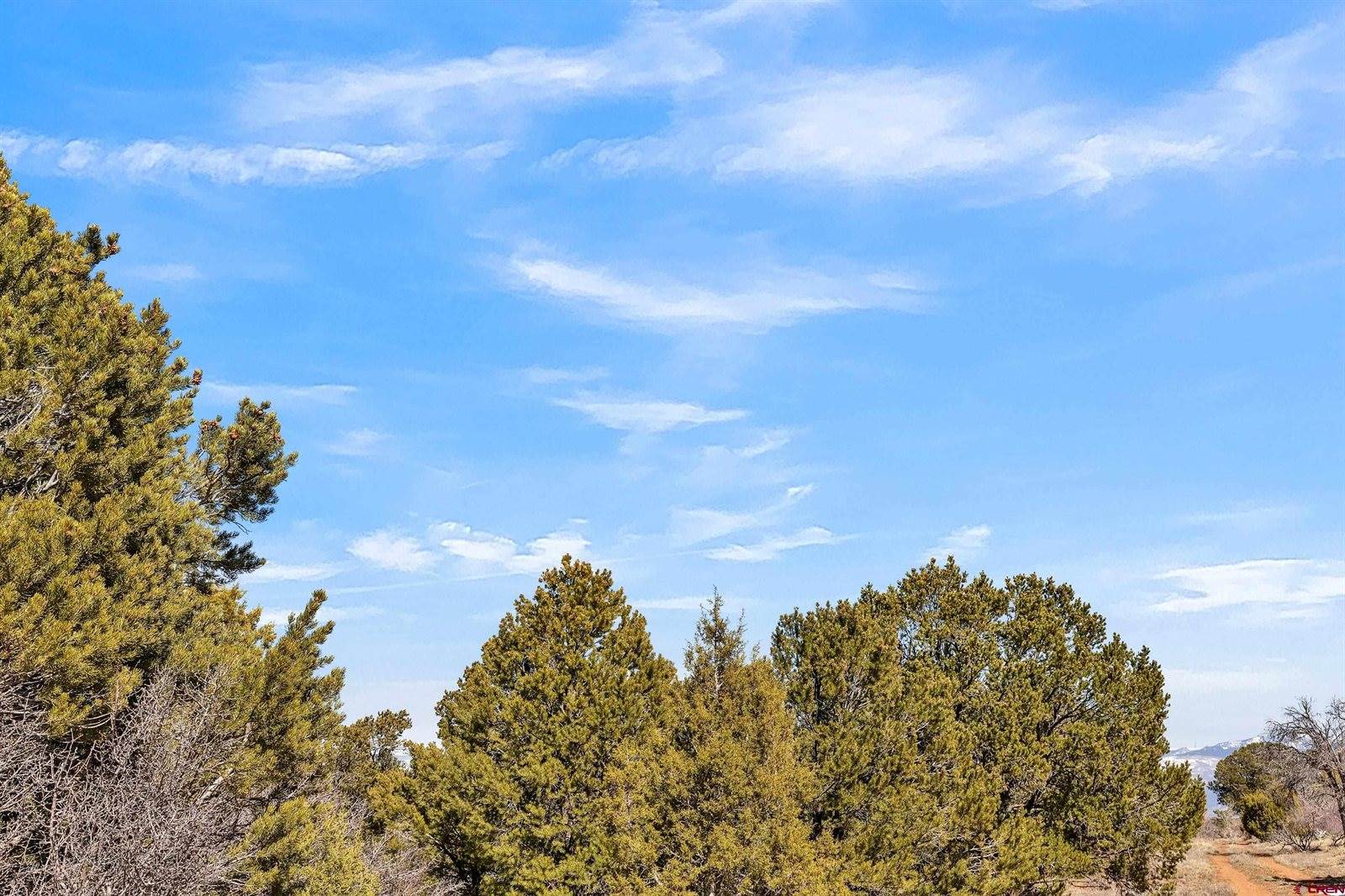TBD Dave Wood Road, Montrose, CO 81403