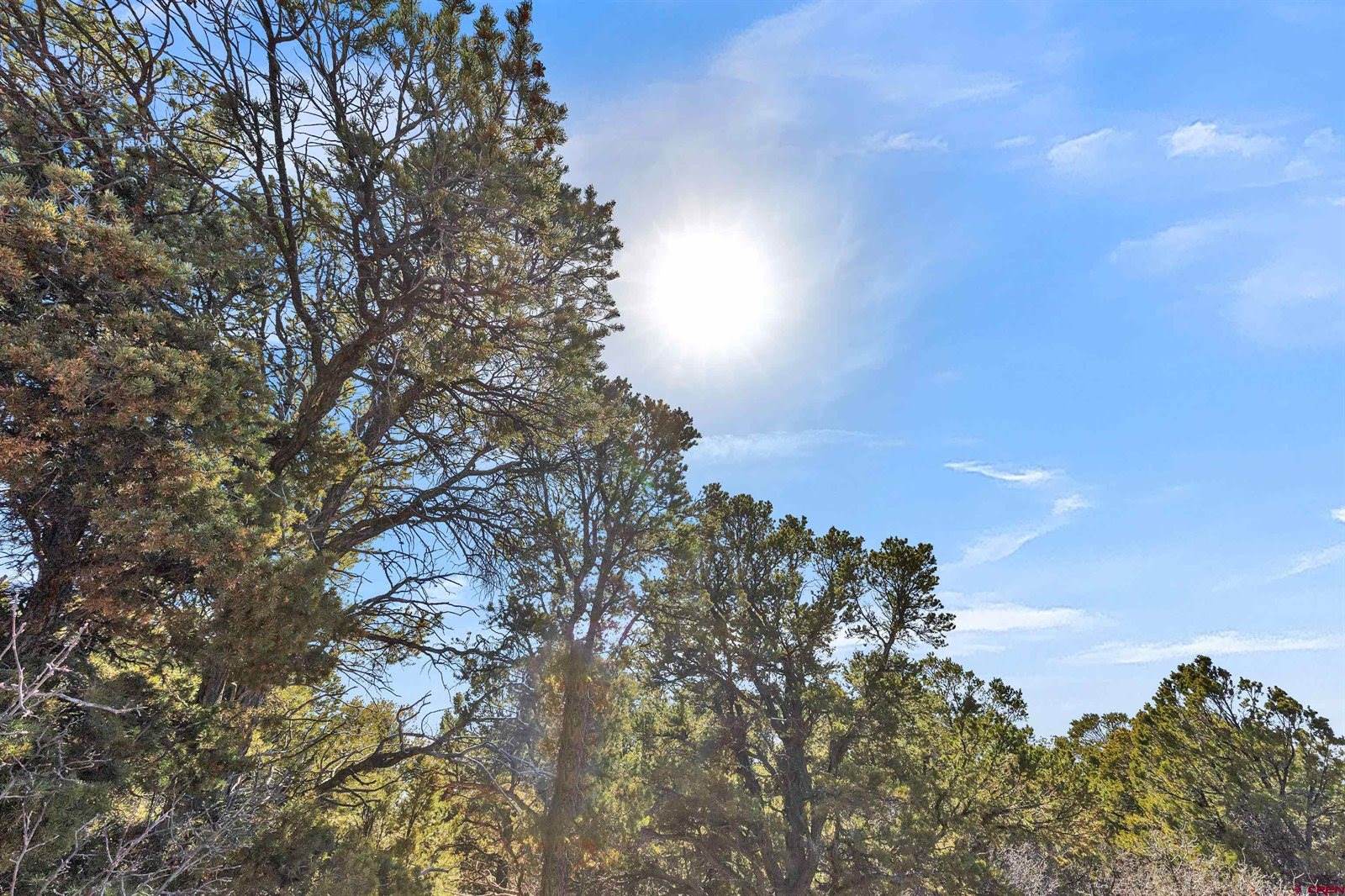 TBD Dave Wood Road, Montrose, CO 81403