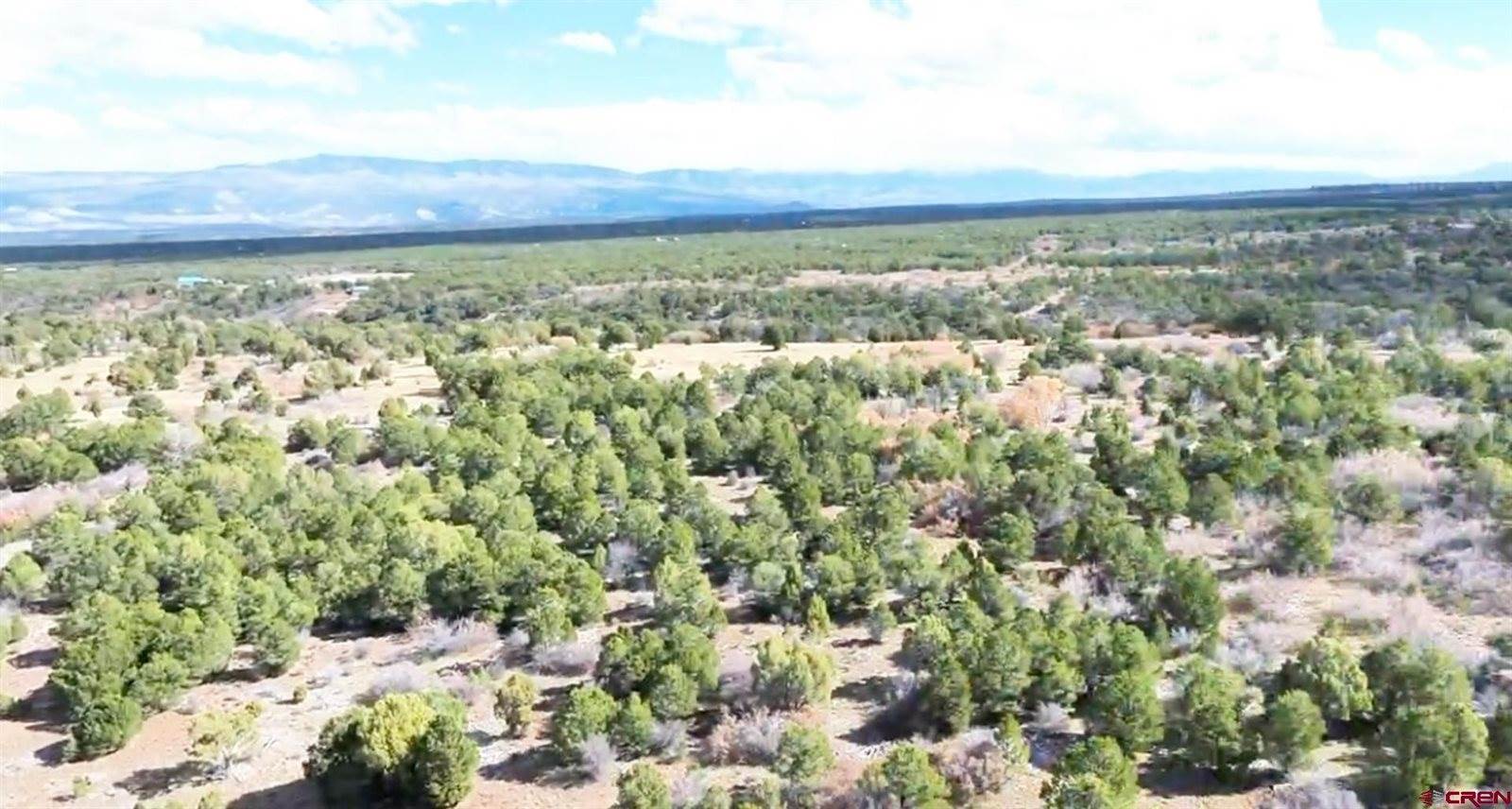 TBD Dave Wood Road, Montrose, CO 81403