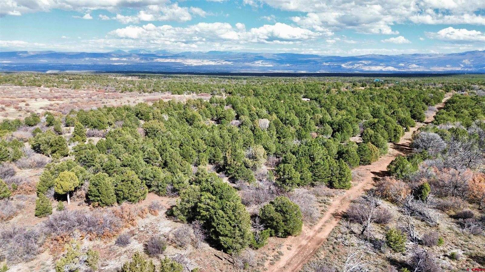 TBD Dave Wood Road, Montrose, CO 81403