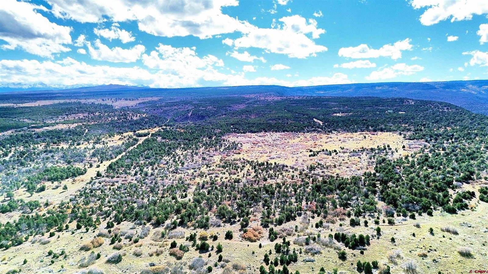 TBD Dave Wood Road, Montrose, CO 81403