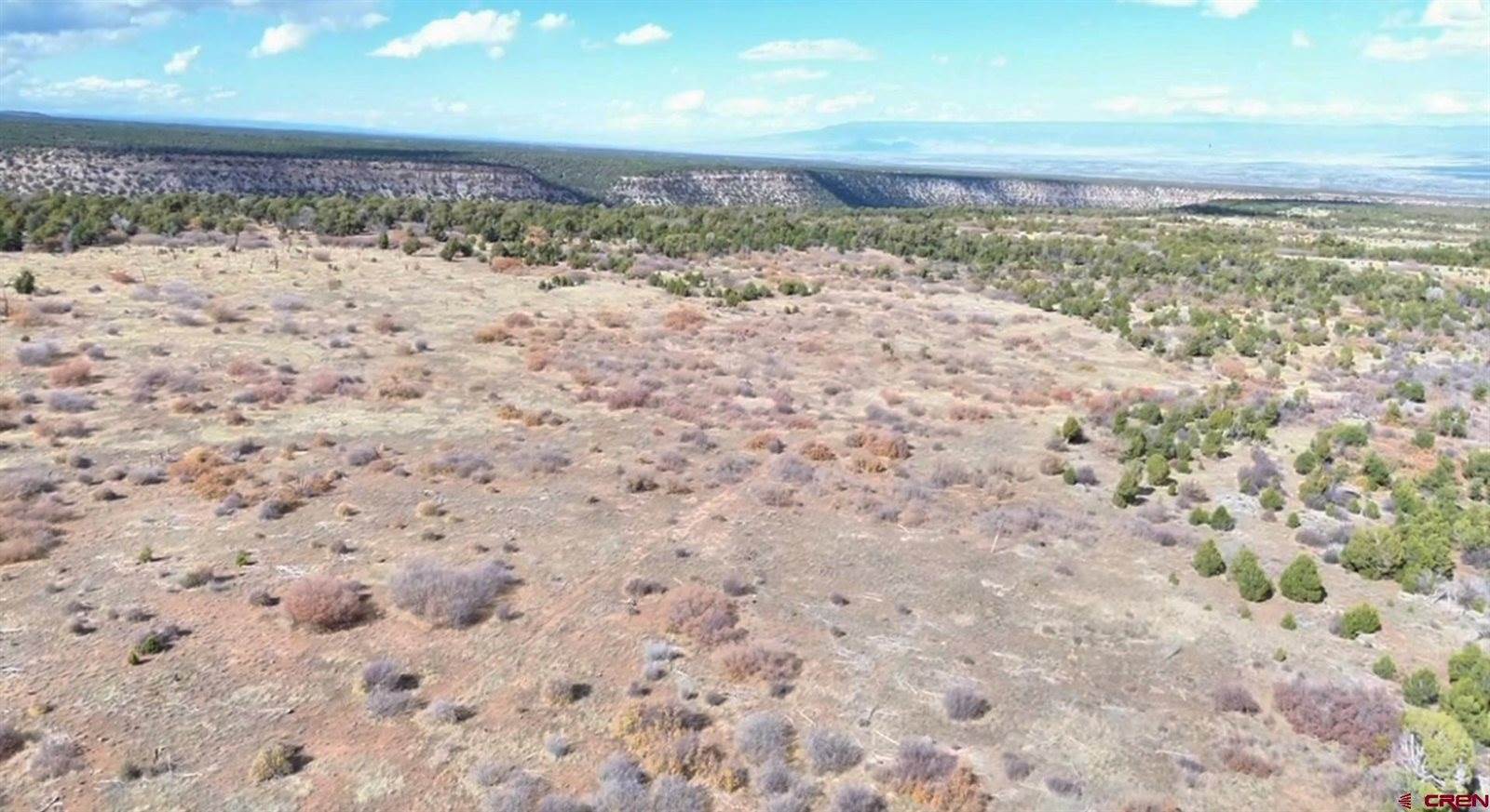 TBD Dave Wood Road, Montrose, CO 81403