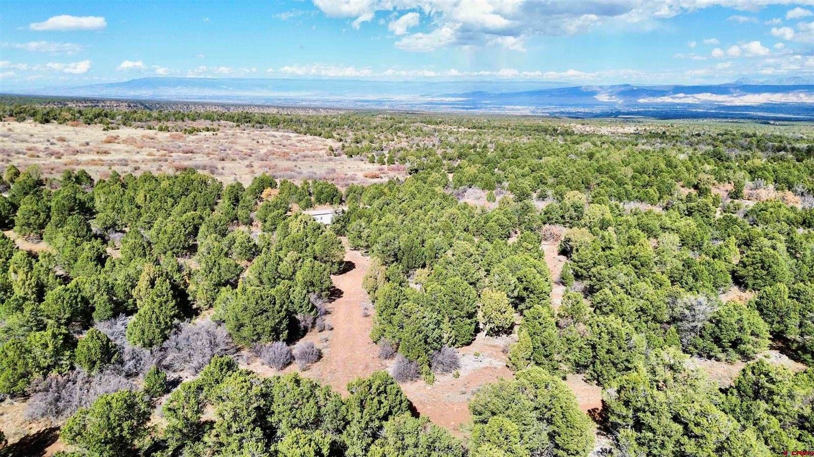 TBD Dave Wood Road, Montrose, CO 81403