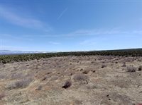 TBD Dave Wood Road, Montrose, CO 81403