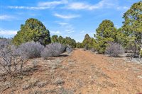 TBD Dave Wood Road, Montrose, CO 81403