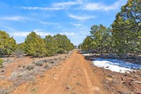 TBD Dave Wood Road, Montrose, CO 81403