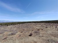 TBD Dave Wood Road, Montrose, CO 81403