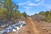 TBD Dave Wood Road, Montrose, CO 81403