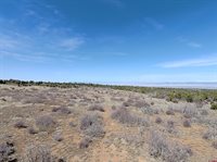 TBD Dave Wood Road, Montrose, CO 81403