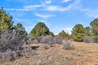 TBD Dave Wood Road, Montrose, CO 81403