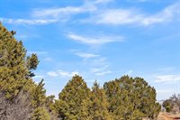 TBD Dave Wood Road, Montrose, CO 81403