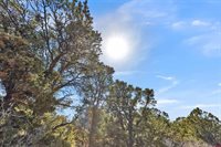 TBD Dave Wood Road, Montrose, CO 81403