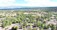 TBD Dave Wood Road, Montrose, CO 81403