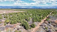 TBD Dave Wood Road, Montrose, CO 81403