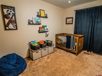 1323 Manchester Drive, Montrose, CO 81401