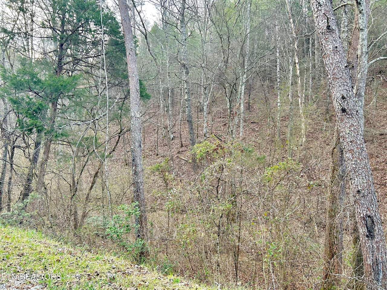 379 Maple Springs Rd, Reliance, TN 37369