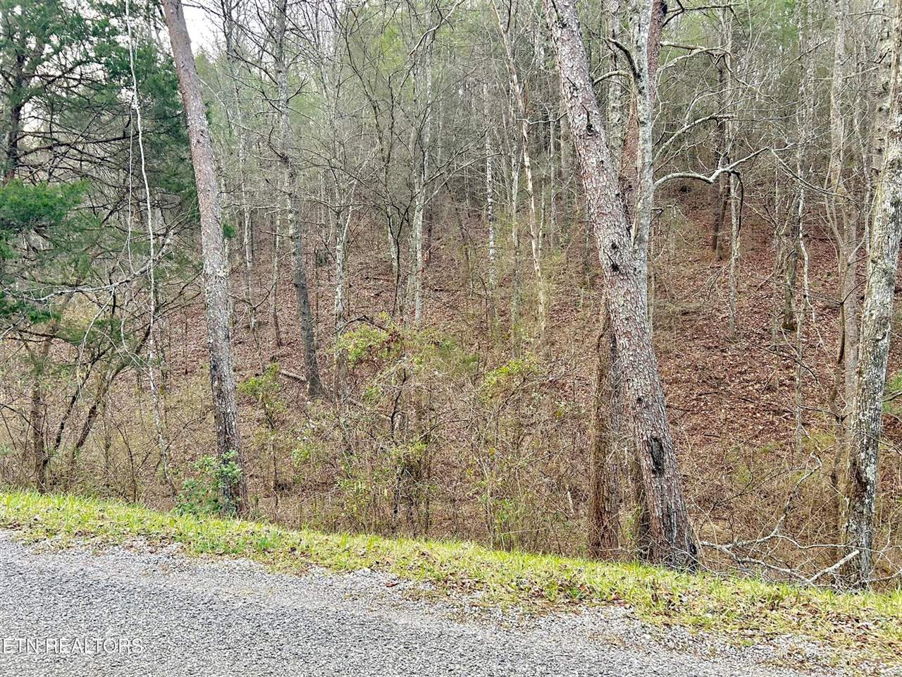 379 Maple Springs Rd, Reliance, TN 37369