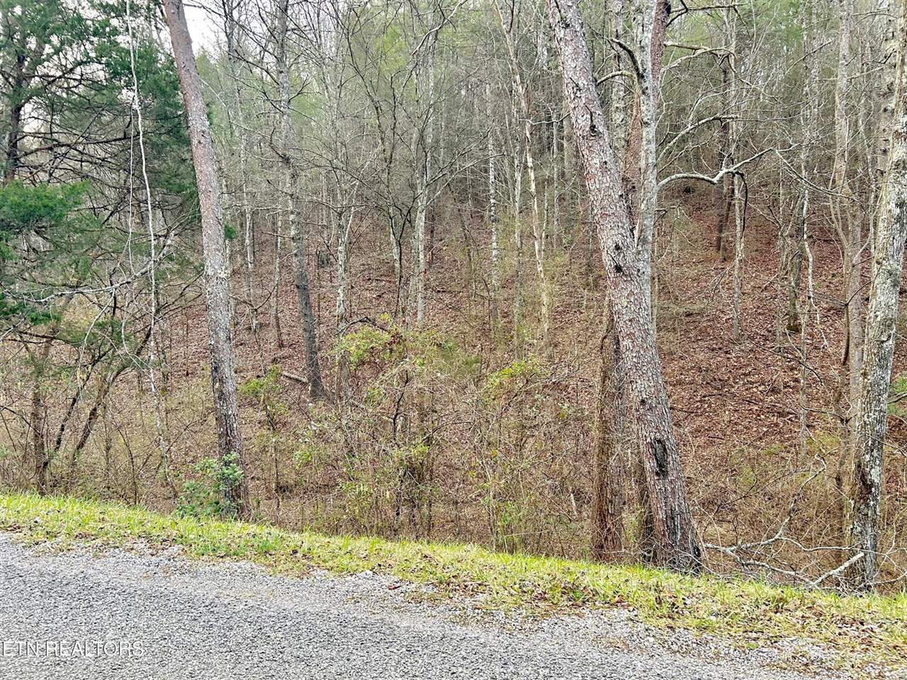 379 Maple Springs Rd, Reliance, TN 37369