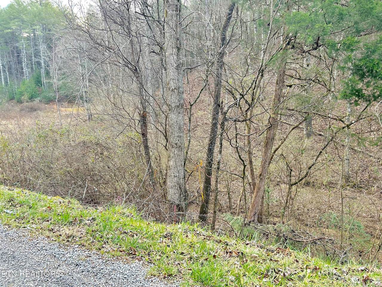 379 Maple Springs Rd, Reliance, TN 37369