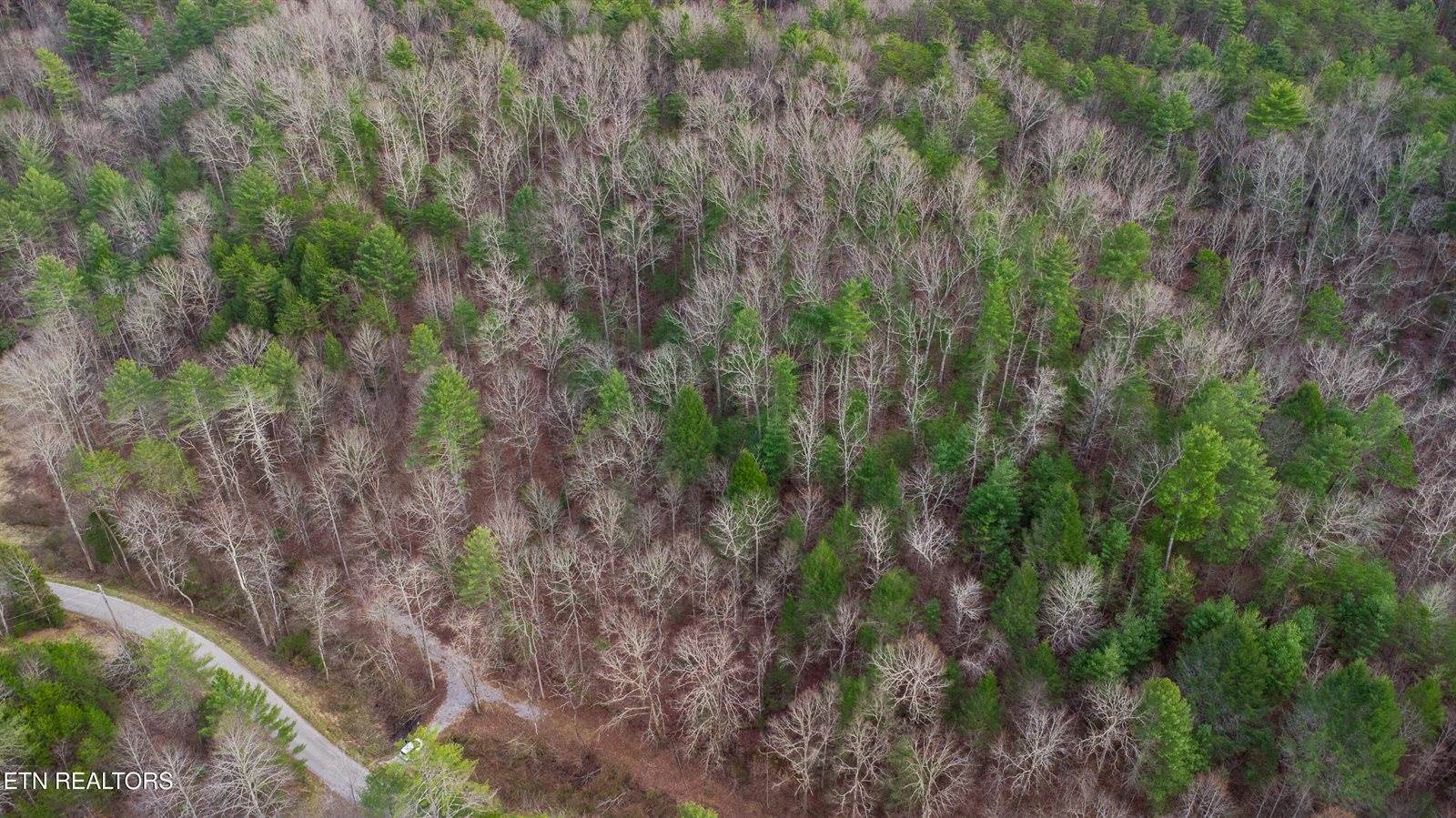 379 Maple Springs Rd, Reliance, TN 37369