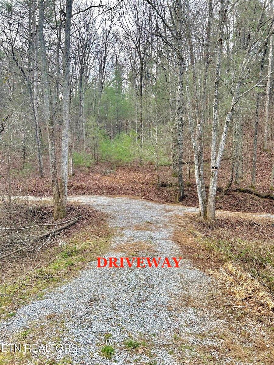 379 Maple Springs Rd, Reliance, TN 37369