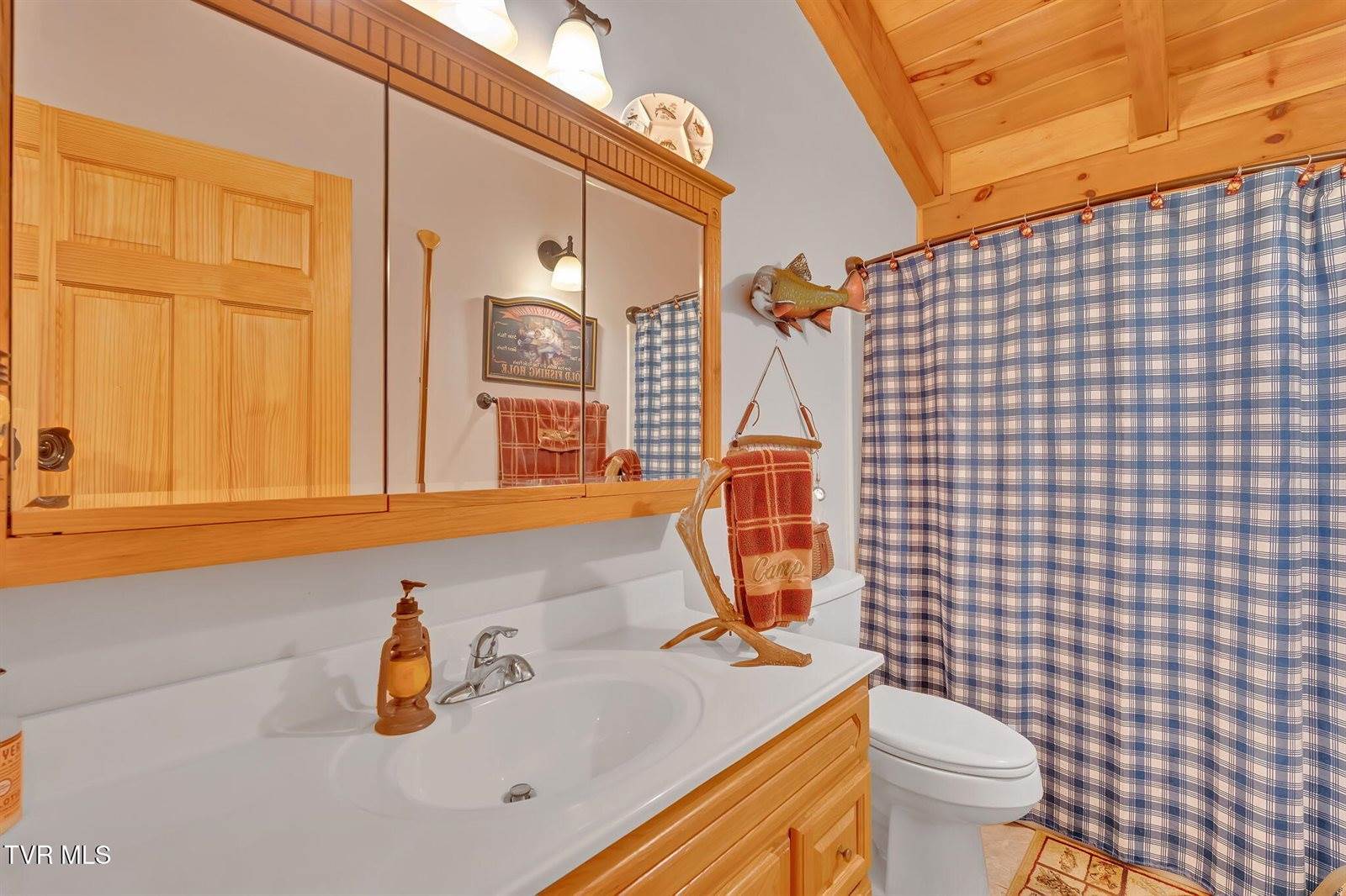 239 Old Lacy Hollow Road Road, Elizabethton, TN 37643