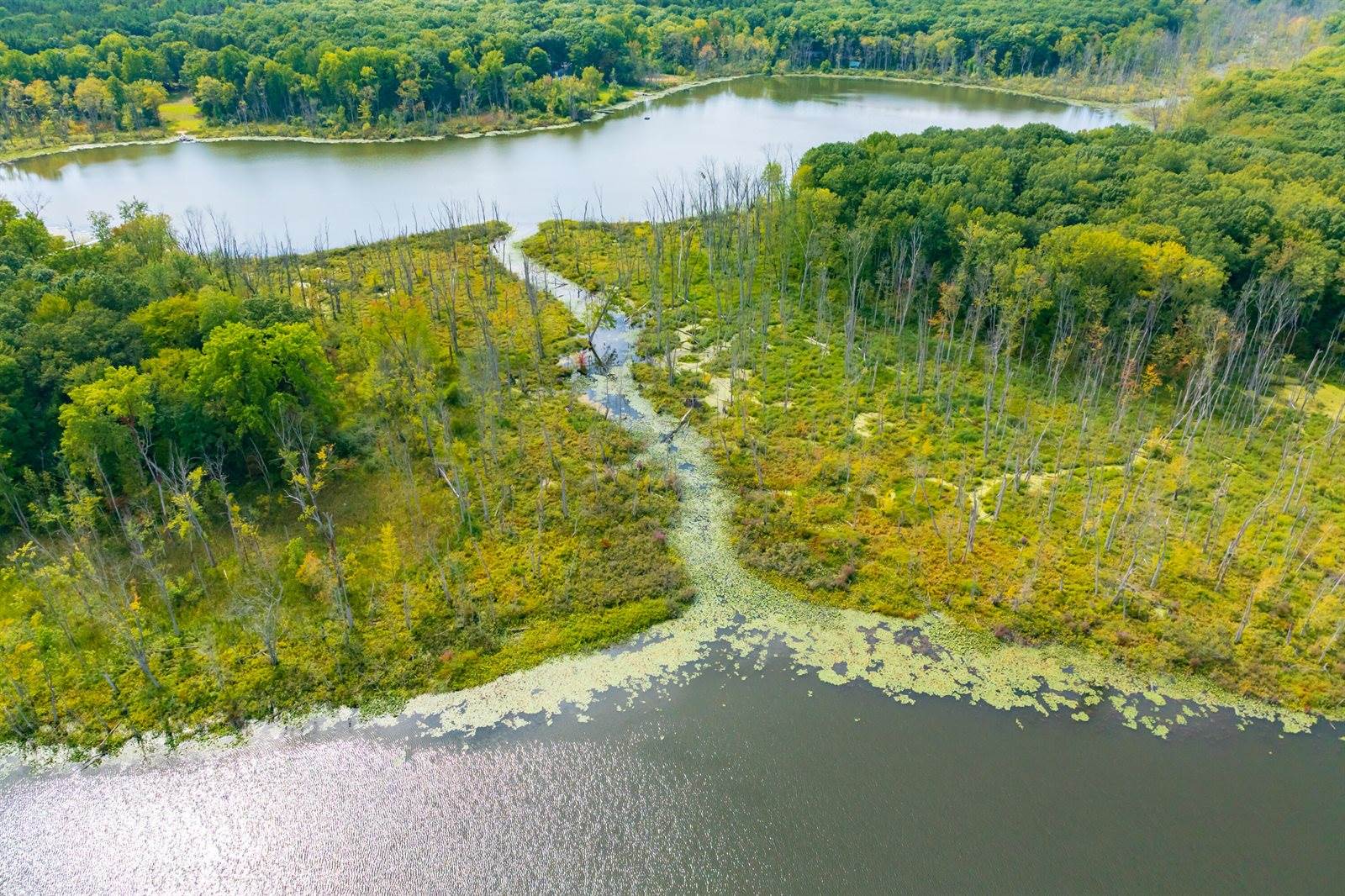 47727 West Baseline Road, Grand Junction, MI 49056