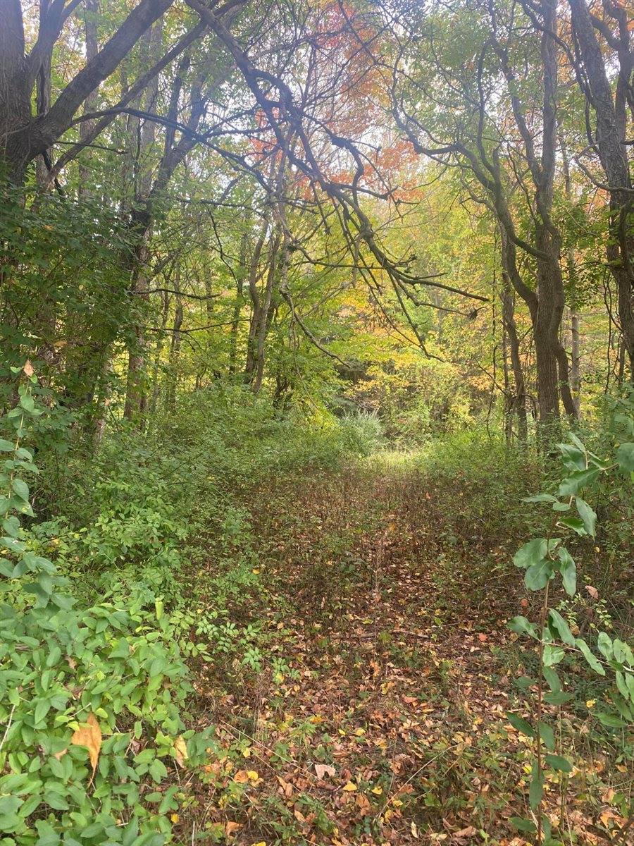 10005 50th Street, Grand Junction, MI 49056