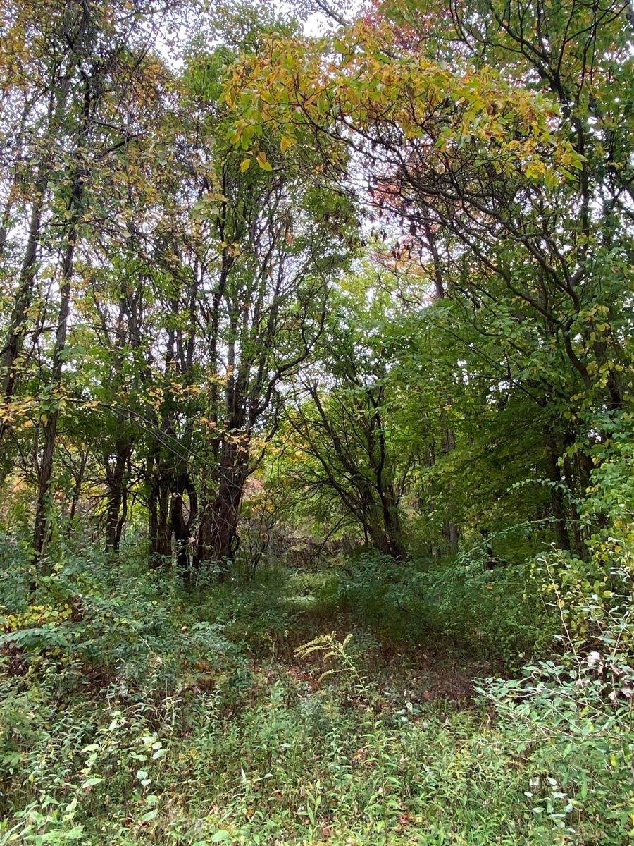 10005 50th Street, Grand Junction, MI 49056